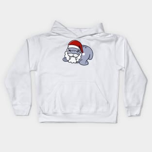 Santa Walrus Kids Hoodie